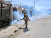 Anuncian la Segunda Jornada Nacional contra el dengue y otras enfermedades causadas por moscos