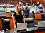 Buscan senadores de Morena que Marybel Villegas presida el Senado