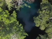 Quedan menos de 8 años para que la vida en la península de Yucatán tenga viabilidad