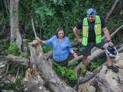 Causará Tren Maya un daño irreversible: Xóchitl Gálvez