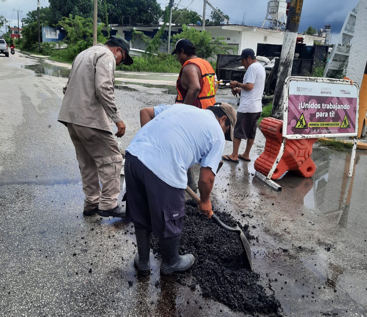 bacheo3