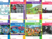 Divide a gobernadores distribución de libros gratuitos de la SEP