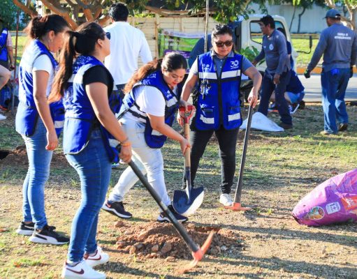 Gobierno de Lili Campos restaura áreas verdes en Villas del Sol
