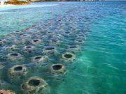 Autoriza Semarnat 35 proyectos, entre ellos, rompeolas para recuperar la playa