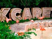Reportan ataque cibernético a Grupo Xcaret