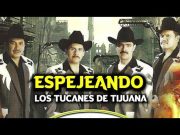 Opinión | La ideología de los Tucanes y el temor a perder el status quo | Y la vida siguió… | Hugo Alday Nieto