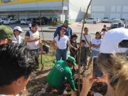 Junto a cancunenses, Ana Paty Peralta arboriza la zona fundacional