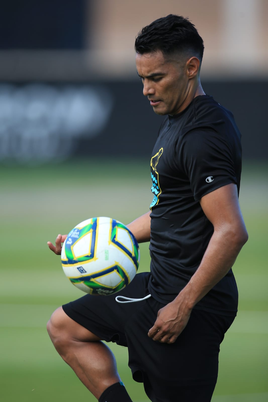 IMG-20231118-WA0012