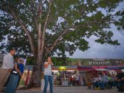 Devela Ana Paty Peralta placa con la historia del árbol de caoba del mercado “Ki-Huic”