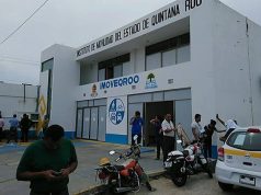Opinión | El Instituto de Movilidad y la tajada del león | El Minotauro | Nicolás Durán de la Sierra