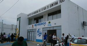 Opinión | El Instituto de Movilidad y la tajada del león | El Minotauro | Nicolás Durán de la Sierra