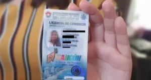 Jaguar Negro | Licencias y placas: orden para el caos; ¿conflicto político?