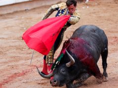 Descartan que levanten en Quintana Roo prohibición a las corridas de toros como en CDMX