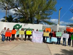 Inician docentes de Conalep en Q Roo protestas por falta de pago