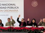 Participa Mara Lezama en el XLIX Consejo Nacional de Seguridad Pública
