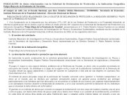 Someten a consulta protección del Pulpo Maya en la Península de Yucatán