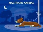 Fijan más sanciones penales y económicas para evitar maltrato animal en Quintana Roo