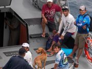 Rescate exitoso de 6 pescadores cozumeleños y su mascota «canelo»: Juanita Alonso