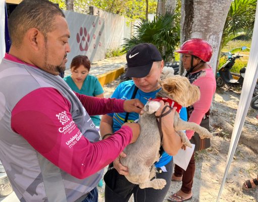 Gobierno de Juanita Alonso prioriza el bienestar de las mascotas en Cozumel