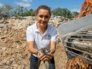Analizan estrategias para el aprovechamiento integral del sargazo en Solidaridad