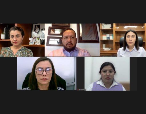 Revoca Teqroo acuerdo del Ieqroo por medidas cautelares por violencia política de género