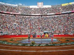 Determina Juez que las corridas de toros regresan a la Plaza México