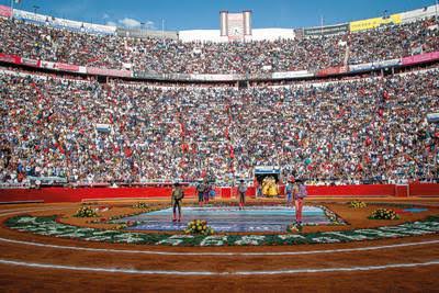 images - 2024-02-03T101033.410