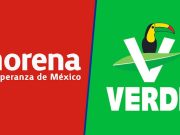 Jaguar Negro | ¿Se animará el Partido Verde a arrebatar el distrito federal 3 a Morena en Quintana Roo?