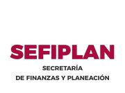 Pájaros en el alambre | Nombrarán a Martha Parroquín como nueva titular de Sefiplan