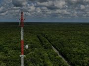 Redoblan esfuerzos para prevenir incendios forestales en Puerto Morelos