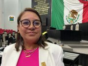 Denuncia diputada Basurto a José Luis Pech por violencia política de género