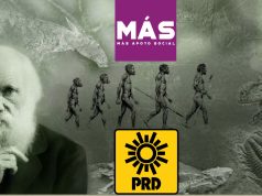 Naderías Totales | Habrá “selección natural política” el próximo 2 de Junio en Quintana Roo: podrían extinguirse dos partidos