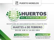 Benefician a 50 mujeres de Puerto Morelos con programa Huertos del Bienestar