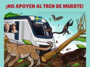Piden a Profepa cancele contrato a Susoma; sólo busca evitar afectaciones a Tren Maya y no al ambiente