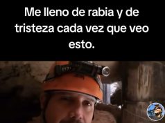 Está matando la vida y el Tren Maya tiene qué parar: biólogo Roberto Rojo