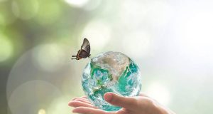 Opinión | ¿Cómo estudiar Turismo sin dañar al medio ambiente? | Alma mater | Ricardo Sonda de la Rosa