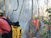 Lluvias e intenso trabajo de brigadistas sofocan incendio forestal en Puerto Morelos