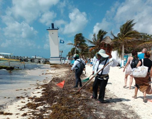 Reporta Puerto Morelos bajo recale de sargazo