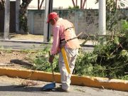 Anticipan en Cozumel trabajos de limpieza para la temporada de huracanes 2024