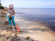 Estas son las playas con menos sargazo en Solidaridad