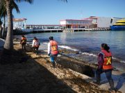 Refuerzan limpieza de playas en Cozumel ante temporada de sargazo