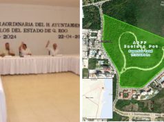 Triunfo ciudadano revisión de PDU’s de Puerto Morelos y BJ: DMAS