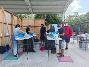 Realizan jornada de esterilización canina y felina en Leona Vicario