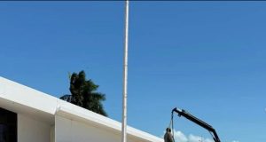 Jaguar Negro | Chetumal: barbarie política