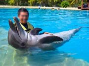 Buscan activistas cierre de delfinario en Riviera Maya por maltrato animal
