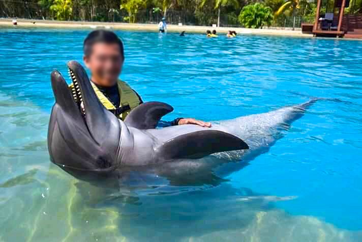 Delfin