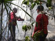 Trabaja Bomberos en atención a incendios forestales en Cancún