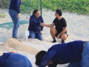 Prioriza gobierno de Benito Juárez protección y conservación de las tortugas marinas