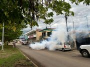 SESA y Sindicato de Vectores coordinados para combatir el dengue y otras enfermedades