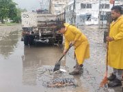 Dejan lluvias matutinas en Cancún encharcamientos y árboles caídos